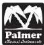 Palmer PDI05 - DEFINETHYOUR TONE - 1
