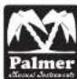 Palmer PDI05 - DEFINETHYOUR TONE - 1