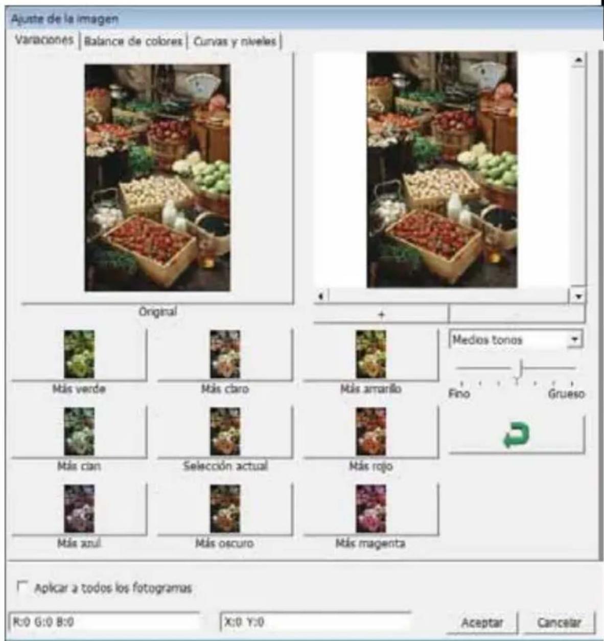 BRAUN CyberView X5 - Comandos de menu - Image Adjustment (Ajuste de laImagen) - 2