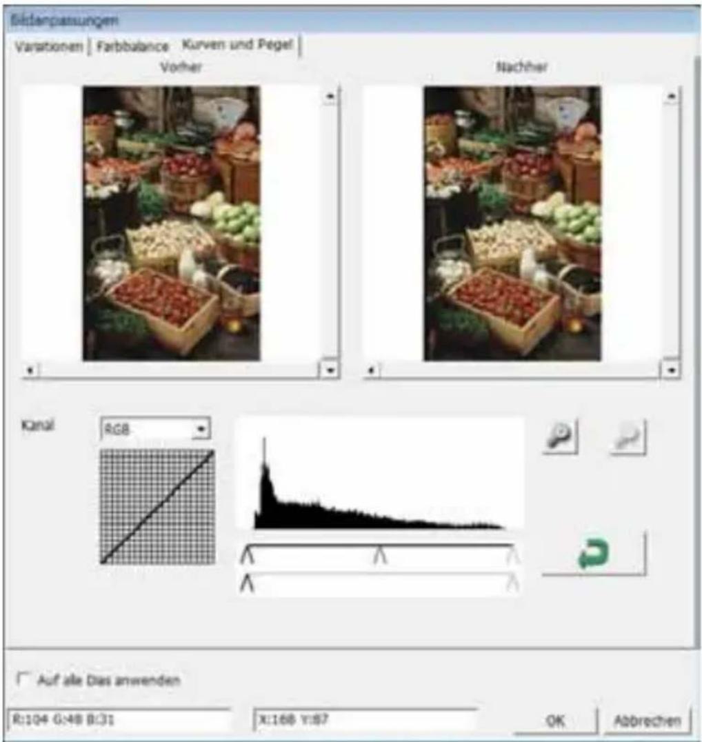 BRAUN CyberView X5 - Curves and Levels (Kurven und Pegel) - 1