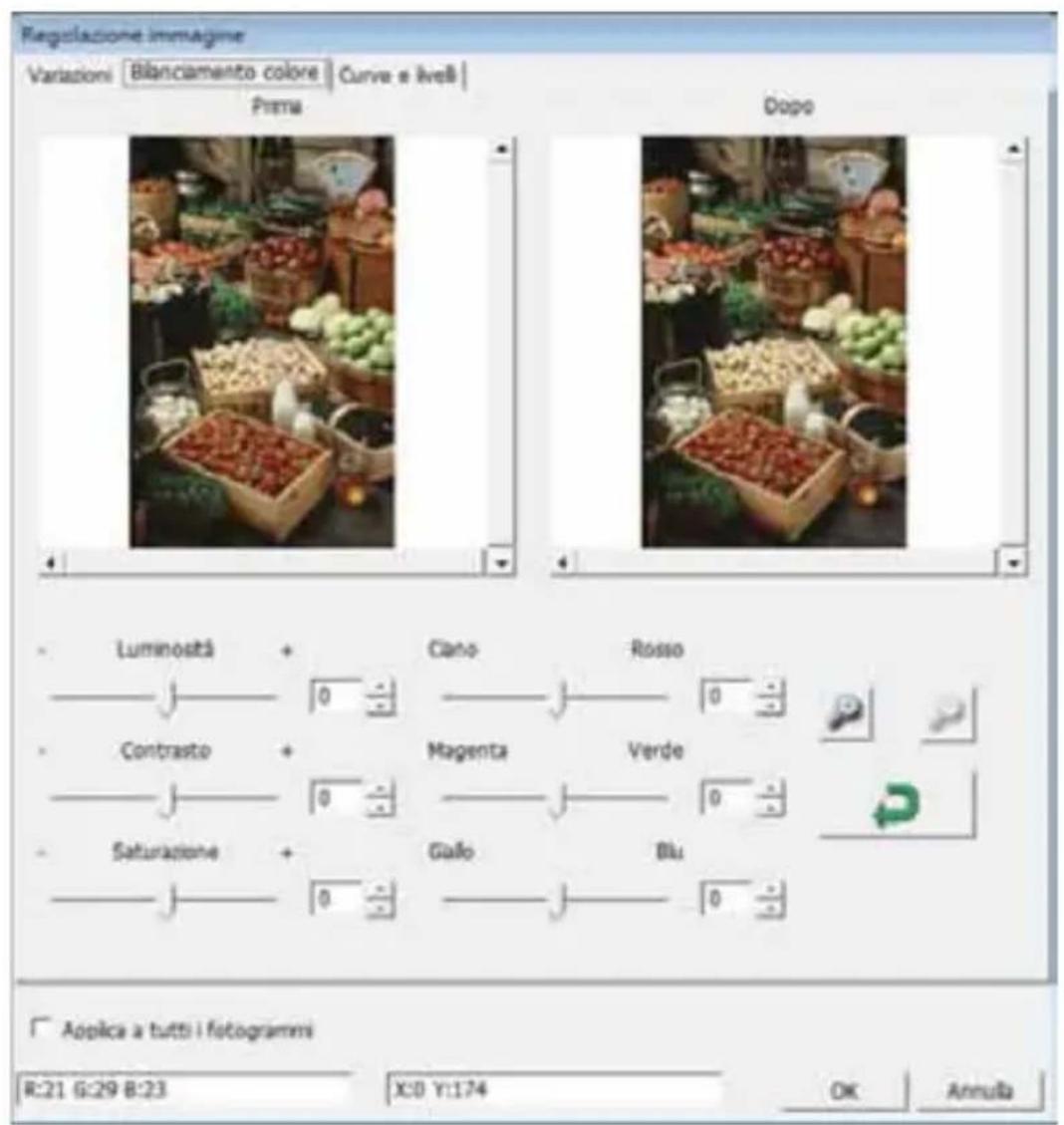 BRAUN CyberView X5 - Comandi del menu - Image Adjustment (Regolazione immagne) - 3