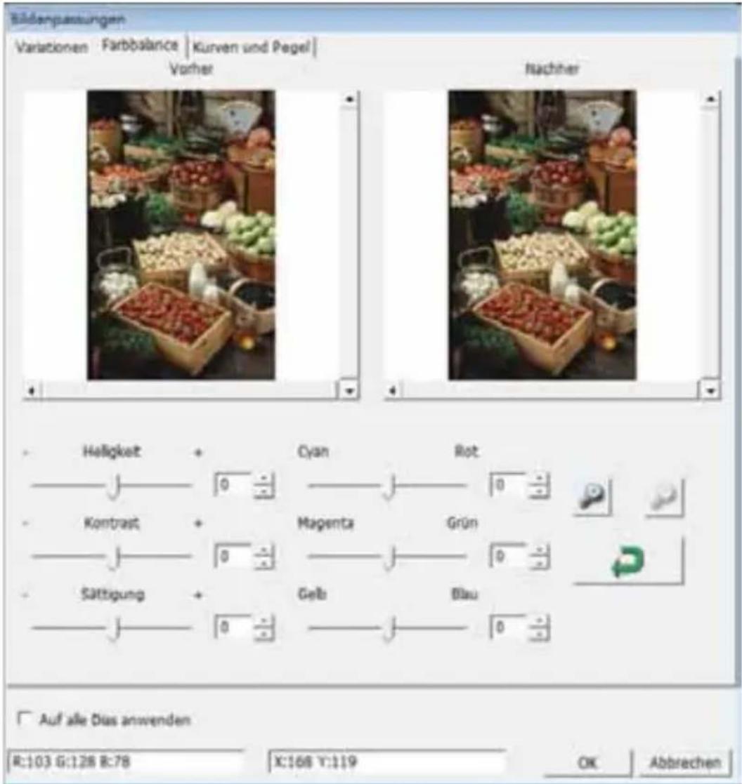 BRAUN CyberView X5 - Color Balance (Farbbalance) - 2