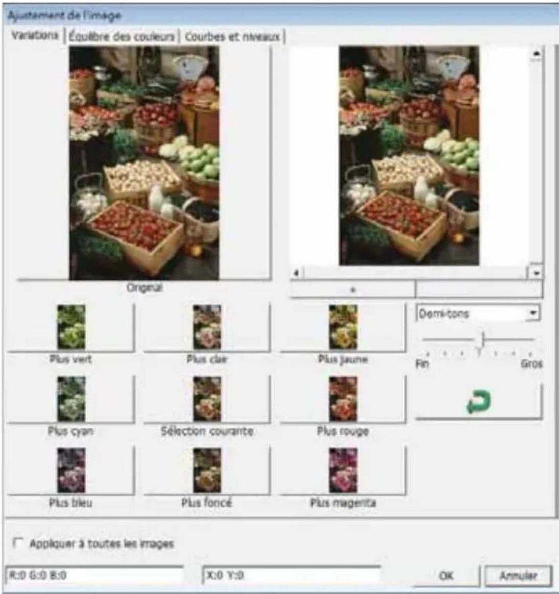 BRAUN CyberView X5 - Commandes de menu - Image Adjustment (Ajustement de l'image) - 2