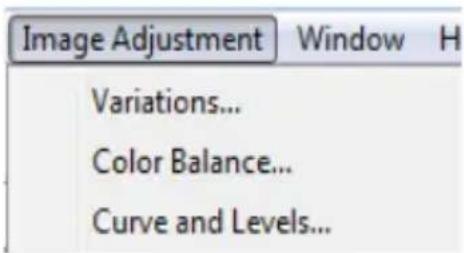 BRAUN CyberView X5 - Menu Commands - Image Adjustment - 1