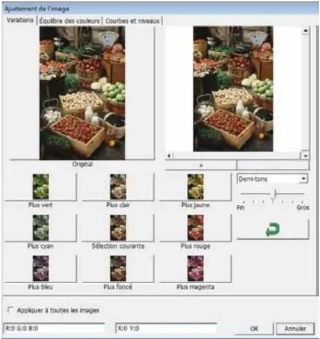 BRAUN CyberView X5 - Commandes de menu - Image Adjustment (Ajustement de l'image) - 2