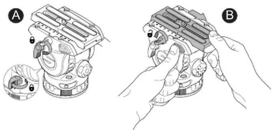 Sachtler Ace Base Plate - Montaje del Ace Base Plate - 1