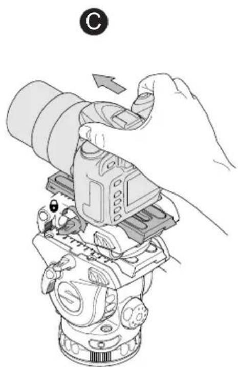 Sachtler Ace Base Plate - Montagem da-camera - 2