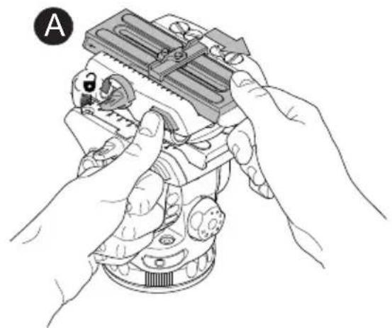 Sachtler Ace Base Plate - Montaje de la-camera - 1