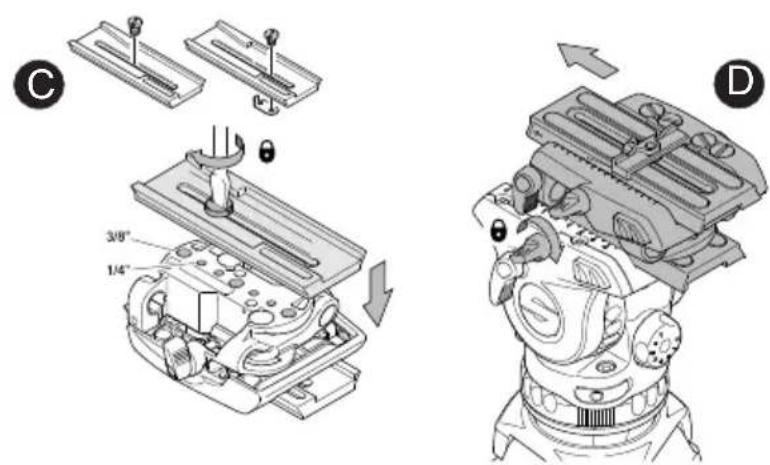 Sachtler Ace Base Plate - Montage der Ace Base Plate - 2