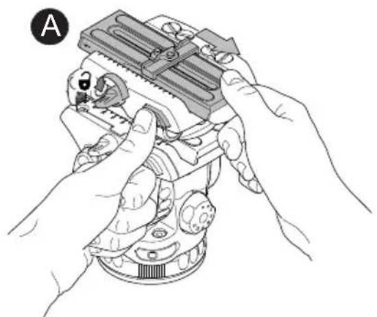 Sachtler Ace Base Plate - Mounting the camera - 1