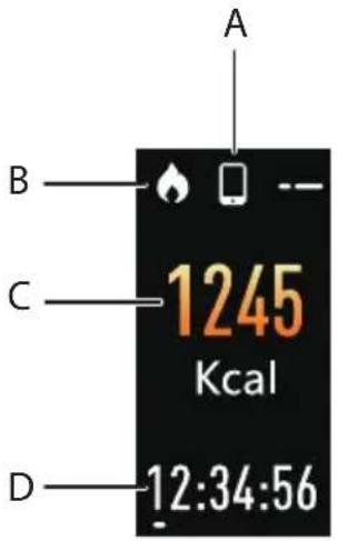 MEDION LIFE S3500 (MD 61065) - Waardenindicators tijdens de activiteit - 3