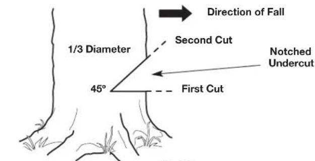 REMINGTON RM4040 - Step 3: Making the Felling Back Cut - 4