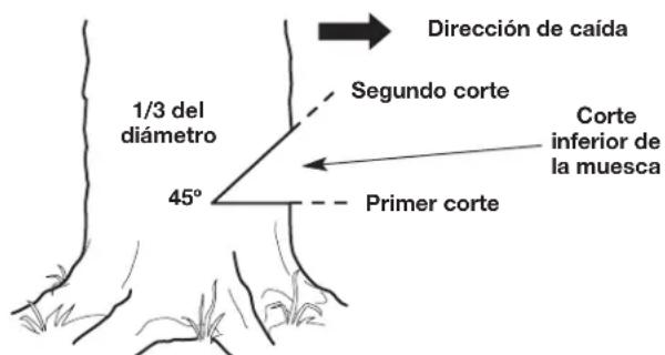 REMINGTON RM4040 - Este corte derriba el arbol. - 2