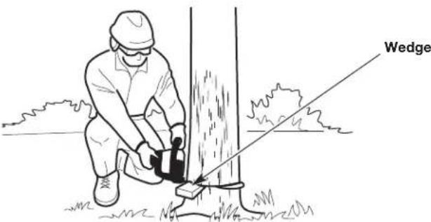 REMINGTON RM4040 - Step 3: Making the Felling Back Cut - 6