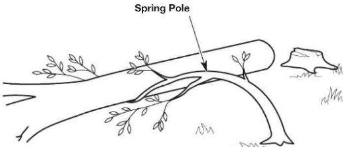 REMINGTON RM4040 - Step 3: Making the Felling Back Cut - 7