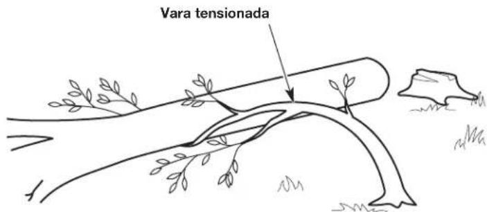 REMINGTON RM4040 - Este corte derriba el arbol. - 7