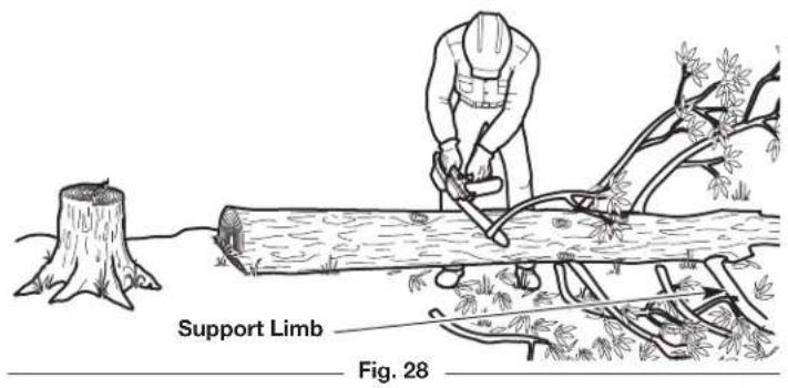 REMINGTON RM4040 - LIMBING - 1