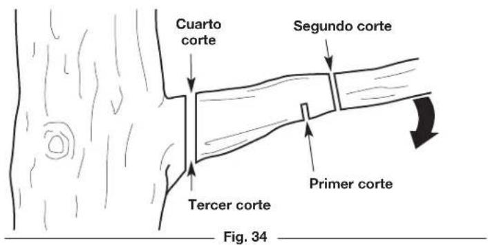 REMINGTON RM4040 - PODA - 3