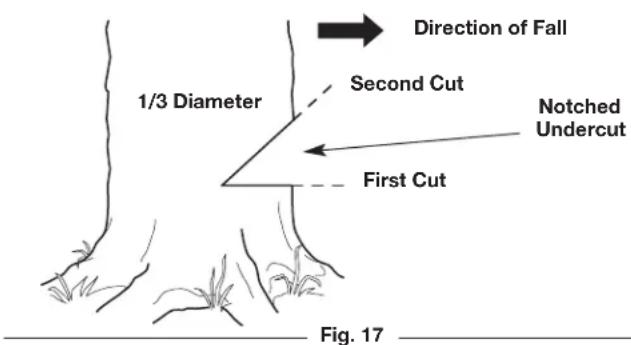 REMINGTON RM1025P - Step 2: Making the Notched Undercut - 3