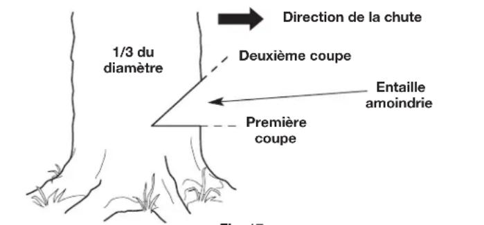 REMINGTON RM1025P - AVERTISSEMENT: Ne marchez jamais devant un arbre compteant une entaille amoindrie. - 2
