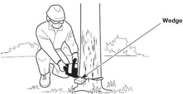 REMINGTON RM1025P - This cut fells the tree. - 4