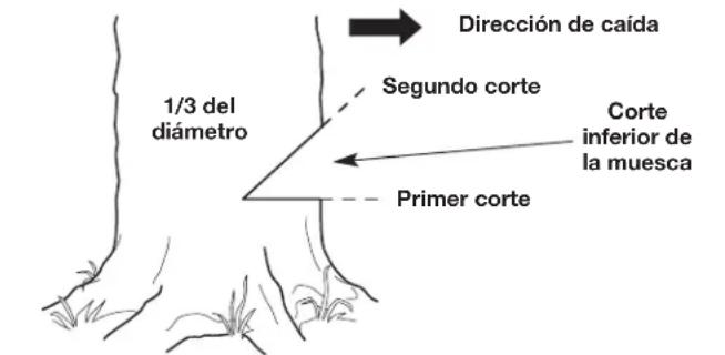 REMINGTON RM1025P - Paso 2: Ejecución del corte inferior de la muesca - 5