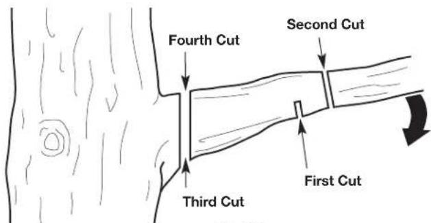 REMINGTON RM1025P - PRUNING - 2