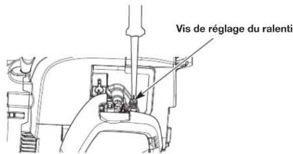 REMINGTON RM2520 - RÉGLAGE DU RALENTI - 3