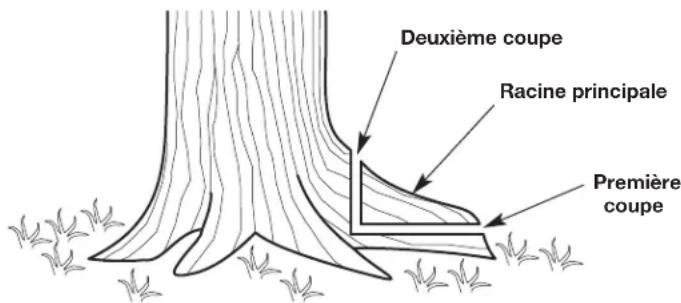 REMINGTON RM4216 - AVERTISSEMENT:Ne marchez jamais devant un arbre comportant une entaille amoindrie. - 1