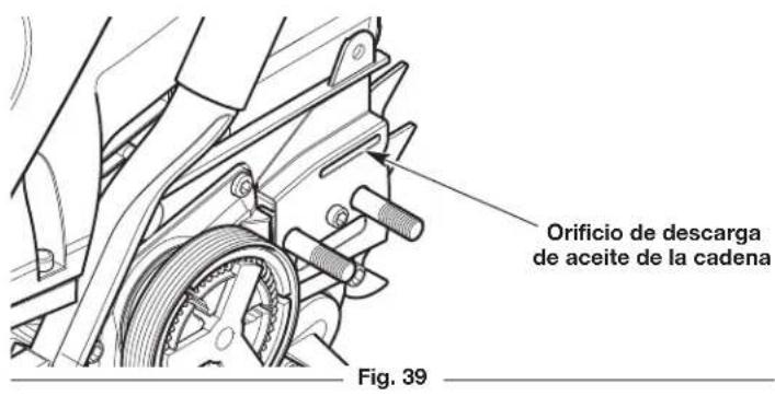 REMINGTON RM4216 - Lubricación de la punta de rueda dentada de la barra guía - 2