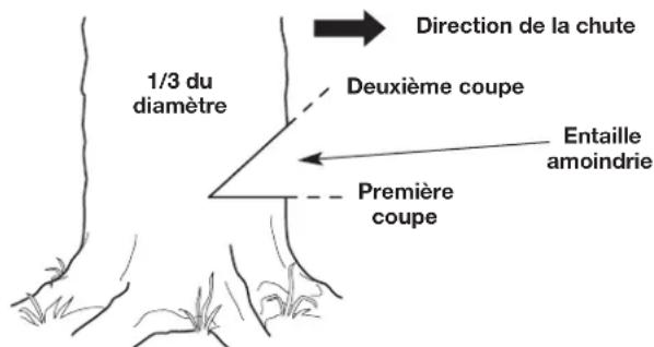 REMINGTON RM4216 - AVERTISSEMENT:Ne marchez jamais devant un arbre comportant une entaille amoindrie. - 2