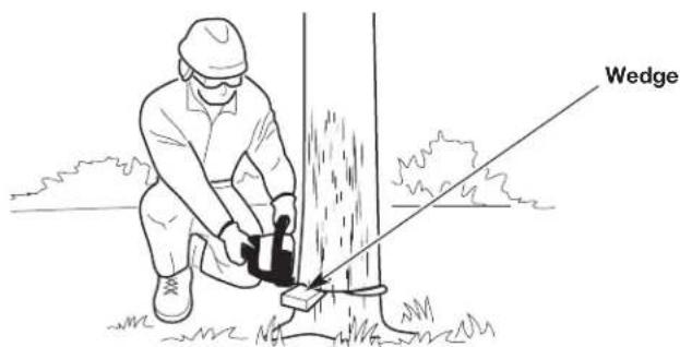 REMINGTON RM4214 - This cut fells the tree. - 4