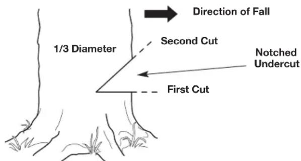 REMINGTON RM4214 - Step 2: Making the Notched Undercut - 3