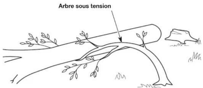 REMINGTON RM4214 - Cette coupe abat I'arbre. - 5