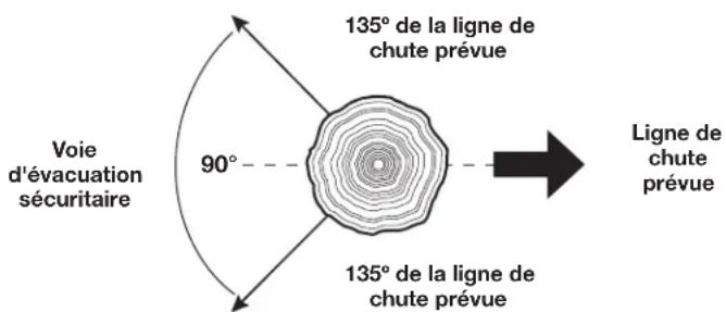 REMINGTON RM4214 - ABATTAGE:SECURITE - 5