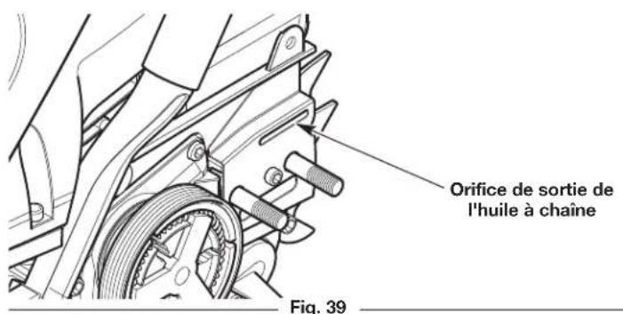 REMINGTON RM4214 - ENTRETIEN DE LA TIGE DE GUIDAGE - 3