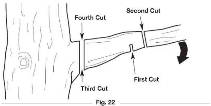 REMINGTON RM4214 - PRUNING - 1
