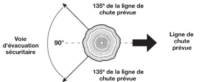 REMINGTON RM4218 - ABATTAGE : SÉCURITÉ - 5