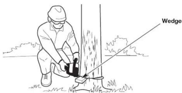 REMINGTON RM4218 - This cut fells the tree. - 2