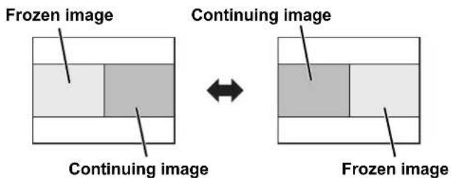 PANASONIC PTF100NTU - - Capturing a new image - 1
