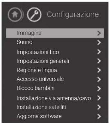 PANASONIC TX32GW324 - Selezionare [Aggiorna software] - 4
