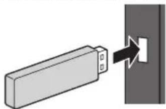 PANASONIC TX32GW324 - Per insere o rimuovere la memoria flash USB - 1