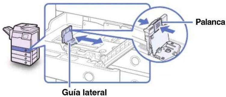 Palanca Guía lateral