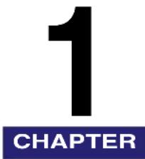 1 CHAPTER