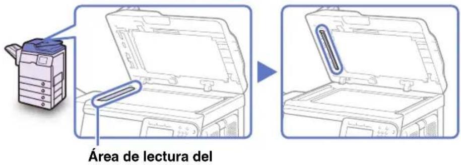 Área de lectura del