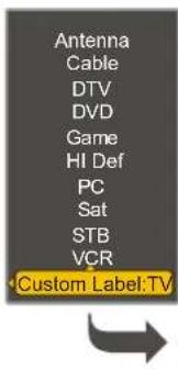 VOXX FPE2706 - Editing Input Labels - 6
