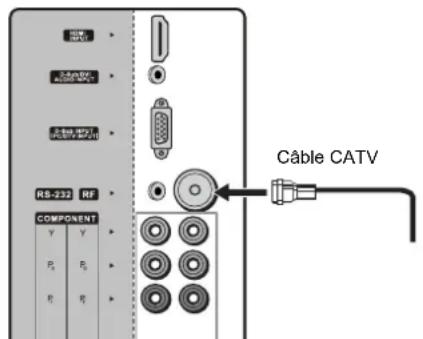 VOXX FPE3706 - Branchement des cables - 1