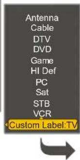 VOXX FPE3706 - Editing Input Labels - 3