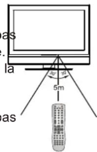 VOXX FPE3706 - Précautions concernant l'utilisation de la télécommande - 1