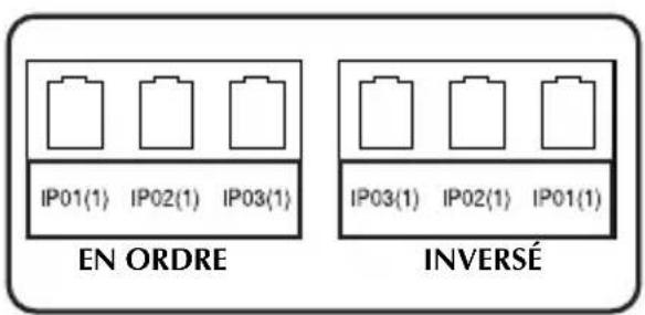 BROTHER Ptouch PT1400 - Modes Port &amp; Panel (panneau) - 2